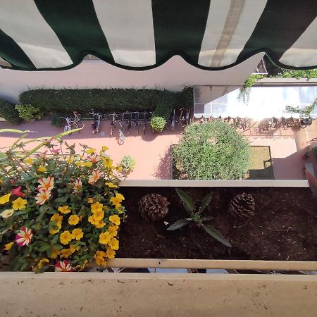 Intero Appartamento - A Soli 50 M Dal Mare Viareggio Dış mekan fotoğraf
